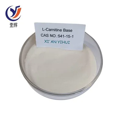 L-Carnitine Base Pulver
